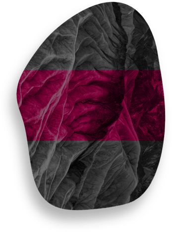 graphic